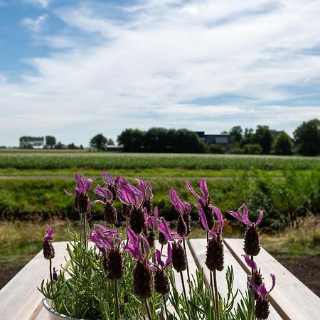 Appartement De Dageraad In Monumentale Boerderij Kimswerd Eksteriør billede