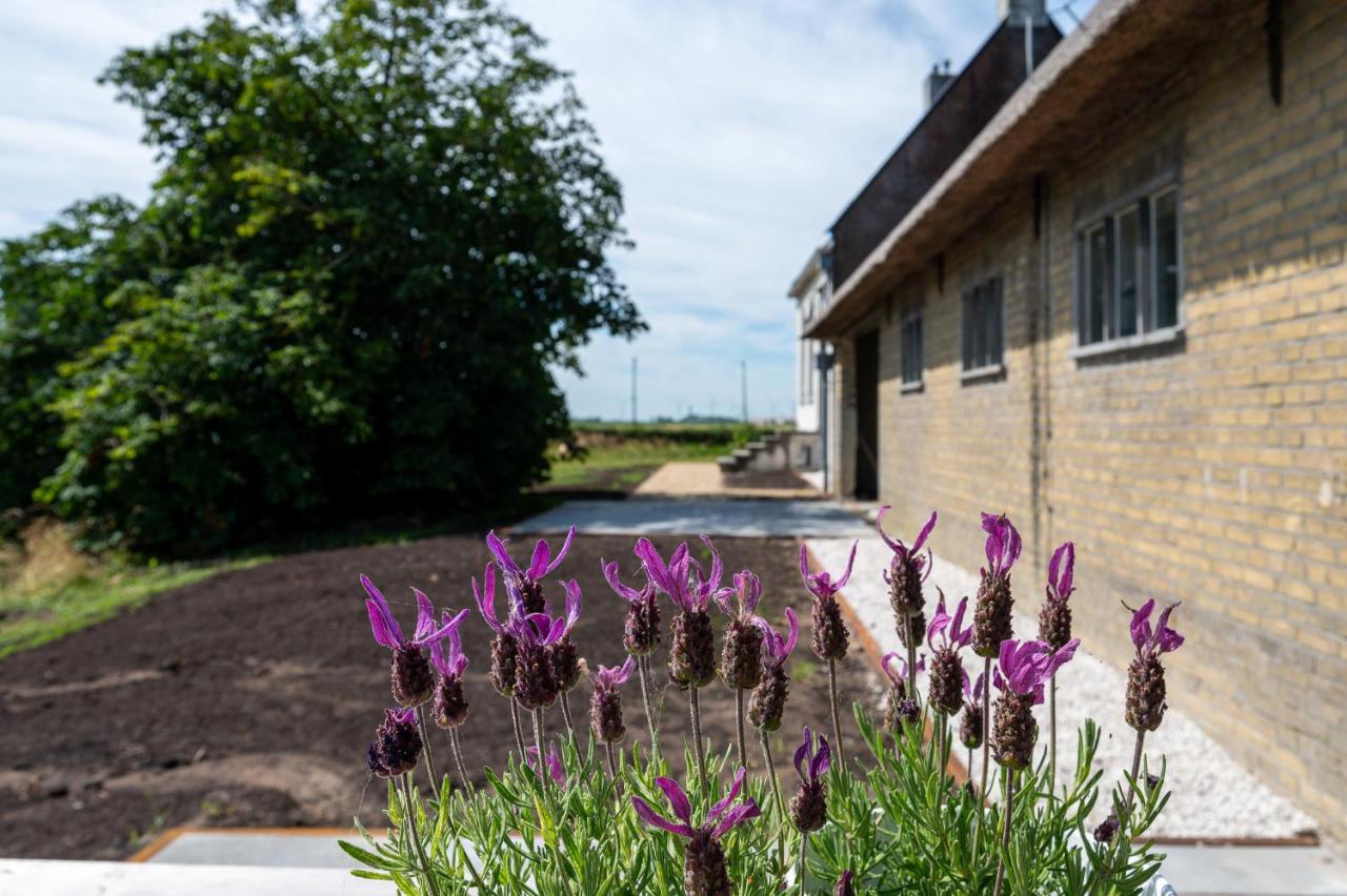 Appartement De Dageraad In Monumentale Boerderij Kimswerd Eksteriør billede