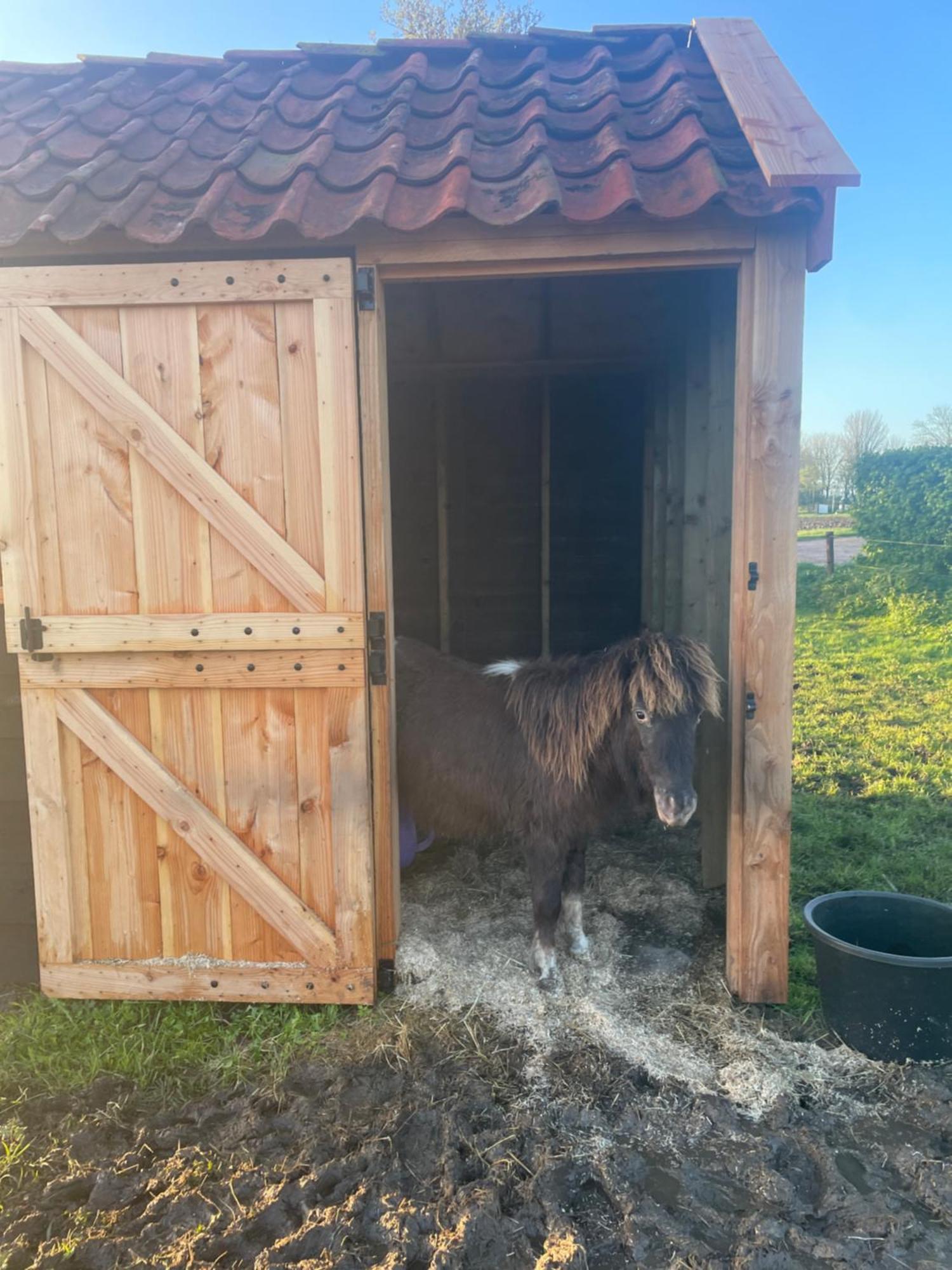Appartement De Dageraad In Monumentale Boerderij Kimswerd Eksteriør billede