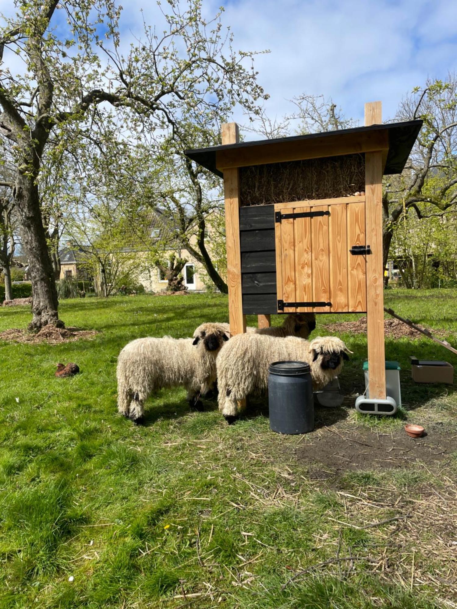 Appartement De Dageraad In Monumentale Boerderij Kimswerd Eksteriør billede